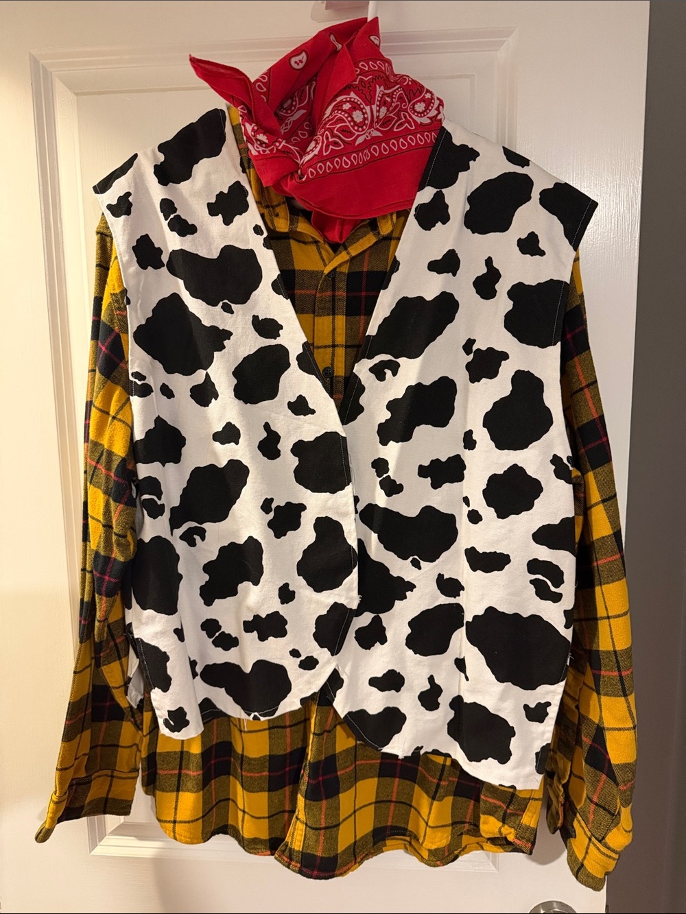 Woody costume Toy Story, partially homemade
